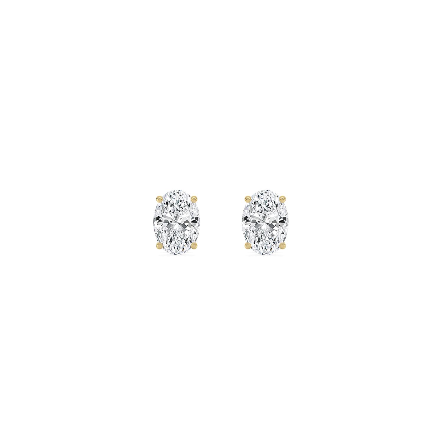 Noon, Four Prong Studs in Yellow Gold, oval, plain background