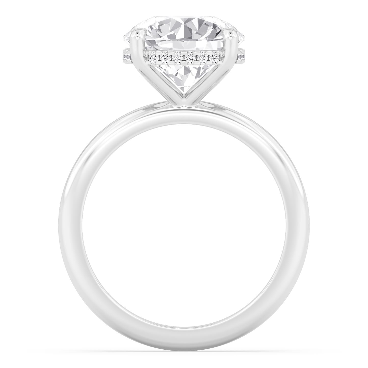 Secret, Round Hidden-Halo Solitaire in White Gold, round, plain background, alternate view