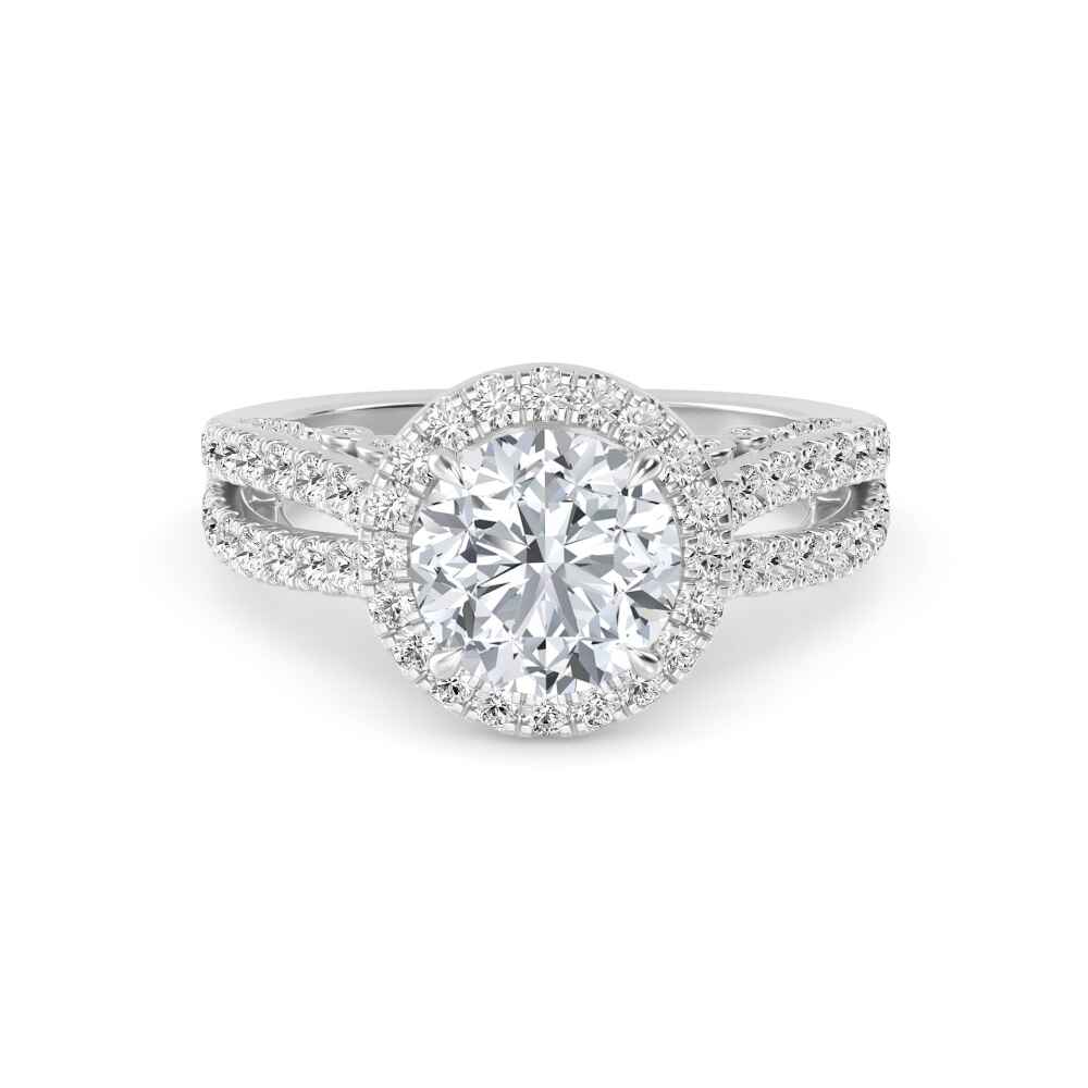 Heath, Four Prong Round Solitaire, Pavé Band in White Gold, round, plain background