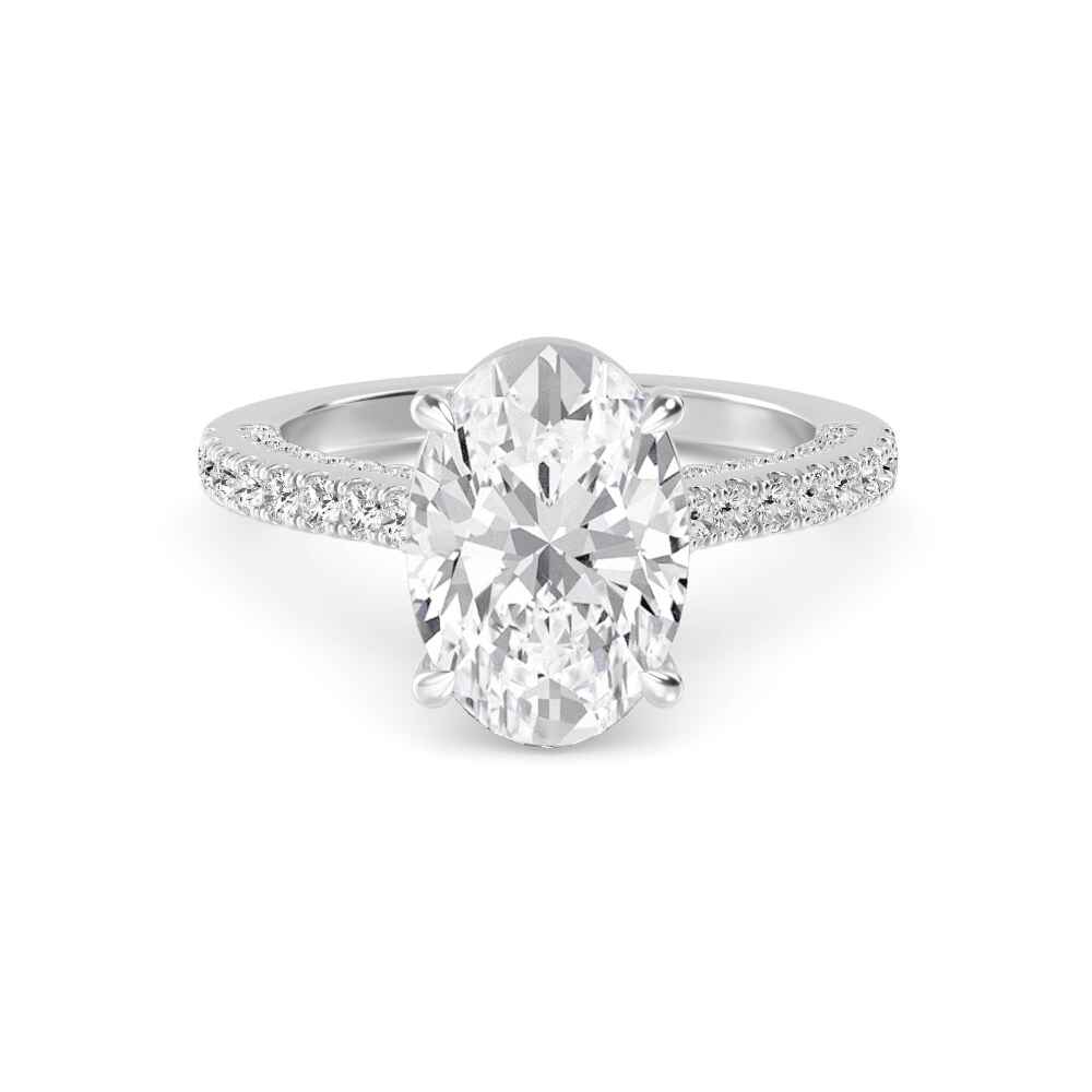 Thrush, Four Prong Oval Solitaire, Pavé Band in White Gold, oval, plain background